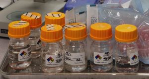 Biological Screening