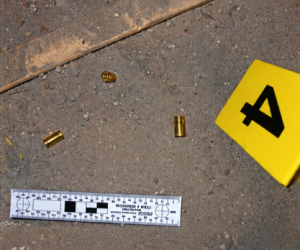 Digital Crime Scene Photography CEU